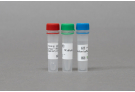 AccuTool™ Recombinant SpCas9 WT protein (50 μgx2)
