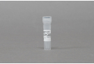 AccuTool™ pRGEN-Cas9-CMV/T7 nickase(D10A) (50 μg)