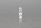 AccuTool™ pRGEN-Cas9-CMV/T7 nickase(D10A) Puro-RFP (5 μg)