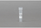 AccuTool™ pRGEN-Cas9-CMV/T7 nickase(D10A) Puro-RFP (50 μg)