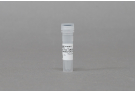 AccuTool™ pRGEN-Cas9-CMV/T7 (nickase(D10A) Hygro-EGFP (50 μg)