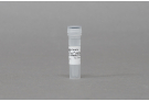 AccuTool™ pRGEN-Cas9-Ef1a nickase(D10A) (5 μg)