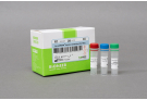 AccuCRISPR™ Mutation Detection Kit (T7E1)