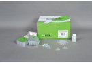 Plus Bacteria Genomic DNA extraction Kit for ExiPrep™16, genomic DNA, extraction, prep, sample prep, DNA extraction, ExiPrep kit
