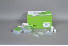 Beef Genomic DNA extraction Kit for ExiPrep™16, genomic DNA, extraction, prep, sample prep, DNA extraction, ExiPrep kit