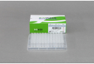 For High Specificity and High Sensitivity One-step RT-PCR / Prevention Carry-over Contamination, RT Premix, PT master mix, RT PCR, AccuPower, cDNA
