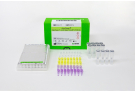 AccuPower® Diarrhea V1 & V2 Real-Time RT-PCR Kit