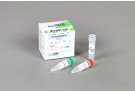 ProFi Taq DNA Polymerase, 10X Reaction Buffer with MgCl2 (1,000 units)