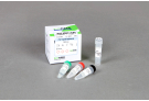 ProFi Taq DNA Polymerase, 10X Reaction Buffer without MgCl2, 20 mM MgCl2 (250 units)