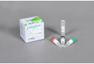 CycleScript™ Reverse Transcriptase (50,000 units)