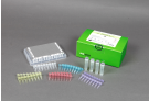 AccuPower® EBV Quantitative PCR Kit