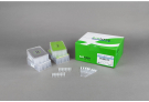 ExiProgen™ His-tagged Protein Purification Kit (32 reactions)