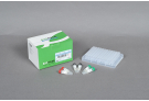 ExiProgen™ ProXpress PCR Template kit