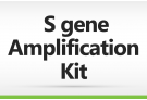 Sanger Sequencing Primer set for SARS-CoV-2 S gene Analysis 