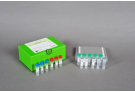 AccuPower® HCV Quantitative RT-PCR Kit