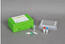 AccuPower® HIV-1 Quantitative RT-PCR Kit