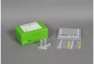 AccuPower® HPV 16&18 Real-Time PCR Kit
