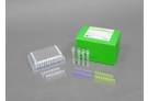 AccuPower® hrHPV Genotyping & Screening Kit 
