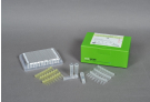 AccuPower® JAK2 V617F Quantitative PCR Kit