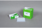 AccuPower® PCR PreMix (96 T, 20 μl)