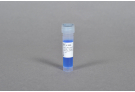 AccuPower® Pfu PCR Master Mix (2X, 1 ml)