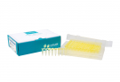 AccuPower® RT/PCR PreMix (96 T, 20 μl)