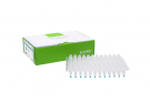 AccuPower® PCR PreMix, 96-well flat plate (20 μl)