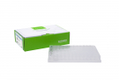 AccuPower® PCR PreMix, 96-well full-skirted plate (20 μl)