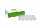 AccuPower® PCR PreMix, 96-well semi-skirted plate (20 μl)