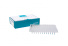 AccuPower® RT/PCR PreMix, 96-well semi-skirted plate (10 μl)
