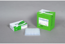 AccuPower® HotStart ProFi Taq PCR PreMix (480T, 20ul)