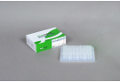 AccuPower® Streptococcus 3Plex PCR kit