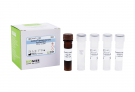 AccuPower® Mannheimia haemolytica Real-Time PCR Kit 