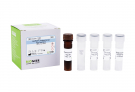AccuPower® Streptococcus equi Real-Time PCR Kit 