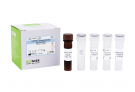 AccuPower® Aeromonas hydrophila Real-Time PCR Kit 