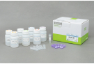 AccuPrep® Plasmid Mini Extraction Kit (50 reactions)