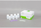 AccuPrep® Plasmid Mini Extraction Kit (200 reactions)
