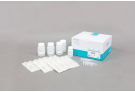 AccuPrep® Universal RNA Extraction Kit (100 reactions)