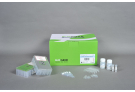 Plus Seed Genomic DNA extraction Kit for ExiPrep™16 , genomic DNA, extraction, prep, sample prep, DNA extraction, ExiPrep kit