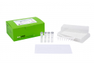 AccuPower® DualStar™ qPCR PreMix, CFX96 8-well strip with cap (96 T, 50 μl)