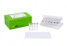 AccuPower® GreenStar™ qPCR PreMix, Exicycler™ 8-well strip (96 T, 50 μl)