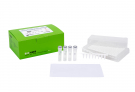 AccuPower® Plus DualStar™ qPCR PreMix (with UDG), CFX96 8-well strip (96 T, 50 μl)