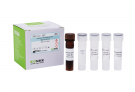 AccuPower® Bordetella pertussis Real-Time PCR Kit