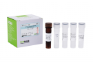 AccuPower® Moraxella catarrhalis Real-Time PCR Kit