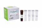 AccuPower® Streptococcus sanguinis Real-Time PCR Kit