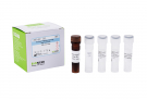 AccuPower® Klebsiella pneumoniae Real-Time PCR Kit
