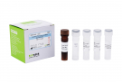 AccuPower® Enterococcus casseliflavus Real-Time PCR Kit