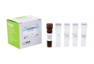 AccuPower® Eggerthella lenta Real-Time PCR Kit