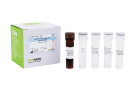 AccuPower® Enterococcus hirae Real-Time PCR Kit