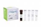 AccuPower® Pseudomonas aeruginosa Real-Time PCR Kit